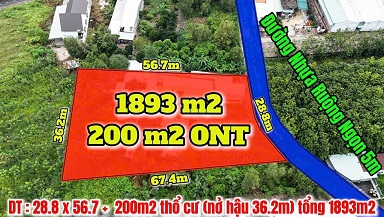CHÍNH CHỦ NGỘP BANK – BÁN LỖ LÔ ĐẤT ĐẸP 1.893m² – CHỈ 6 TỶ 6