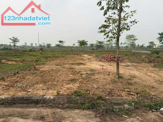Bán 100m lk mặt đường 24m KĐT Cienco 5 Mê Linh,mặt tiền: 5m, kd sầm uất. - 4