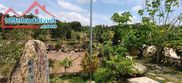 Đất nền QL 55, Xã Lộc Nam, Bảo Lâm - 2