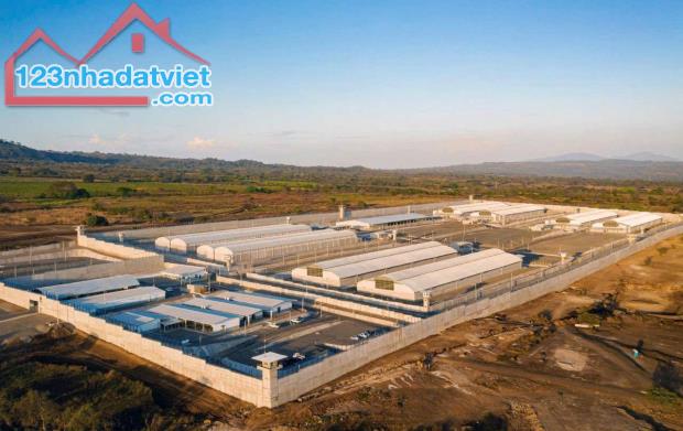 Cần bán mảnh vườn 1000m2 Chỉ 350 triệu gần cty xí nghiệp và cách đường đt 753 có 20m - 1