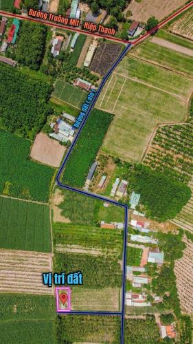 Hiệp Thạnh Gò Dầu . Bán đất DT 184m2 full thổ cư , Gần KCN - 1