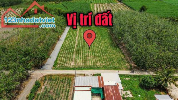 Hiệp Thạnh Gò Dầu . Bán đất DT 184m2 full thổ cư , Gần KCN - 2