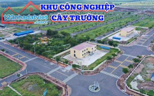 CHỈ 9XX SỞ HỮ NGAY LÔ ĐẤT ĐẸP TẠI BÀU BÀNG - 1
