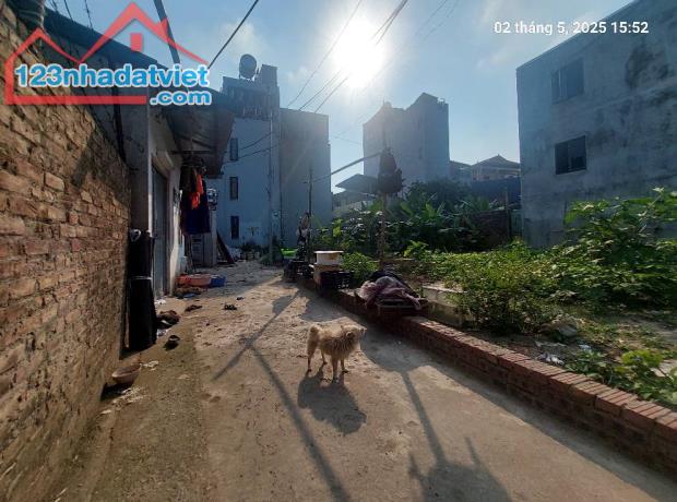 Đất Mai Lâm 95.2m2, mt9m, 7.45 tỷ, 3 thoáng, Đông Anh - 2