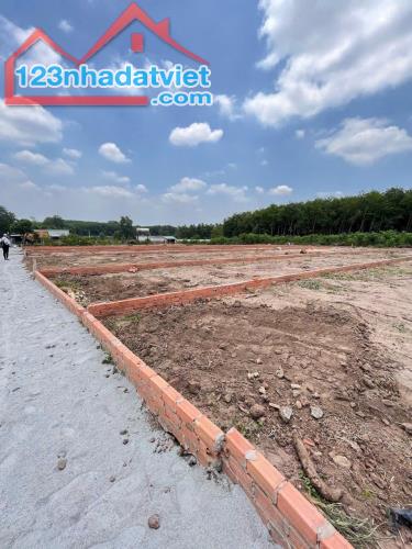 Bán cặp đất 10 x 50 An Linh Phú Giáo Binh Dương ngay Cụm KCN An Linh chỉ 580 triệu