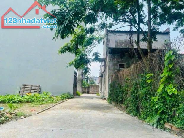 CHÍNH CHỦ BÁN ĐẤT THỔ CƯ SẴN SỔ TẠI XUÂN NỘN-ĐÔNG ANH - 1