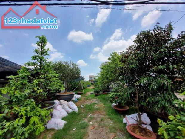Bán đất mặt tiền thổ cư Bình Chánh, đường Vườn Thơm, 582m2, chỉ 18 triệu/m2. - 1