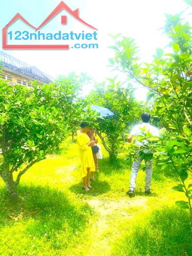 BÁN 2800M ĐẤT KÉP  HỒNG GIANG Thị Xã Chũ  Bắc Giang, Gía Đầu Tư nhỉnh 3 tỷ