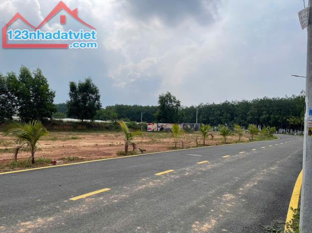 ĐẤT TÂN ĐỊNH BẾN CÁT GIÁ RẺ GẦN CỔNG SAU ĐẠI NAM GIÁ CHỈ 700TR - 2