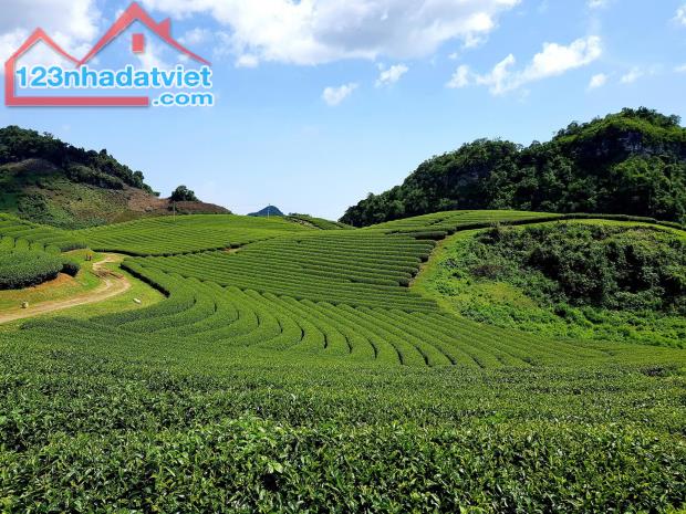 CHÍNH CHỦ CẦN VỐN KINH DOANH BÁN ĐẤT