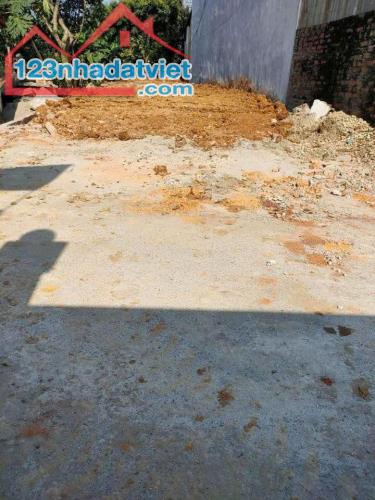 Bán 120m2 trục chính Lai Sơn, Đồng Tâm, Vĩnh Yên. - 2