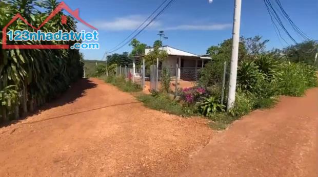 ĐẤT MẶT TIỀN 10.000M2 THÔN TÂN LỰC, BÙ NHO, PHÚ RIỀNG, BÌNH PHƯỚC, NGAY KCN BÙ NHO