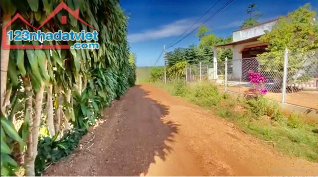 ĐẤT MẶT TIỀN 10.000M2 THÔN TÂN LỰC, BÙ NHO, PHÚ RIỀNG, BÌNH PHƯỚC, NGAY KCN BÙ NHO - 4
