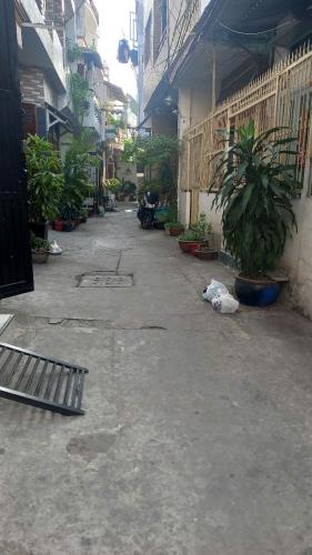 HOT, CẦN BÁN GẤP NHÀ NỞ HẬU GIÁ RẼ ĐƯỜNG 16 [P4, Q8] 44M2 (3.6X12M), 2T. 3PN CHỈ 3.25 TỶ - 3