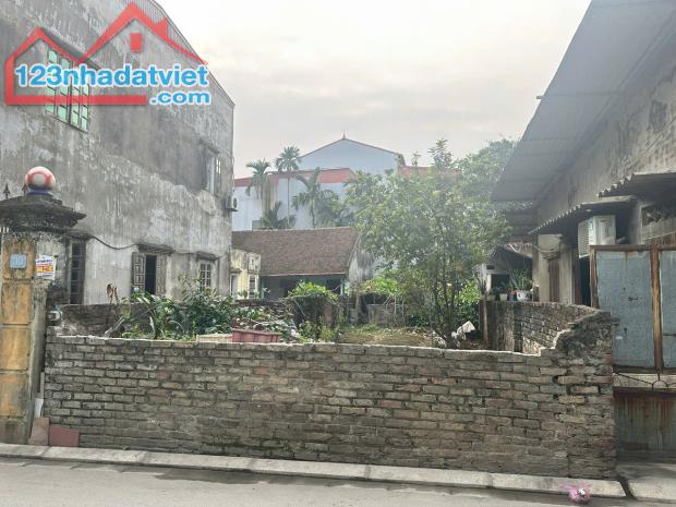 Lại có thêm một lô siêu phẩm 136m2 trục chính kinh doanh ở Lực Canh, Xuân , Đông Anh, HN - 4