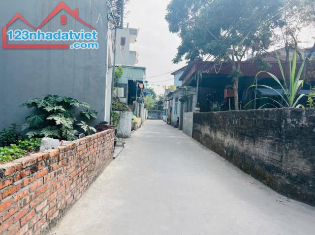 Chính chủ nhờ bán nhà Cam Lộ, Hùng Vương, Hồng Bàng, Hải Phòng giá 2,55 tỷ - 2