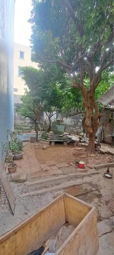 🏡 BÁN ĐÁT TẶNG  NHÀ CẤP 4 VỊ TRÍ KINH DOANH - 1