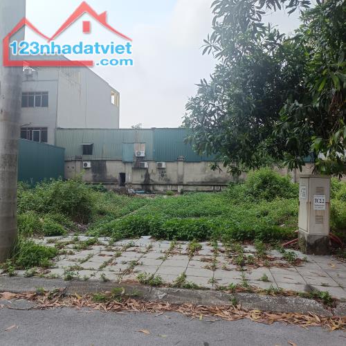55 TRIỆU/M2 - DT 115M2 - ĐƯỜNG 24M KĐT KHAI SƠN – TRƯỜNG DỆT MAY THỜI TRANG HÀ NỘI