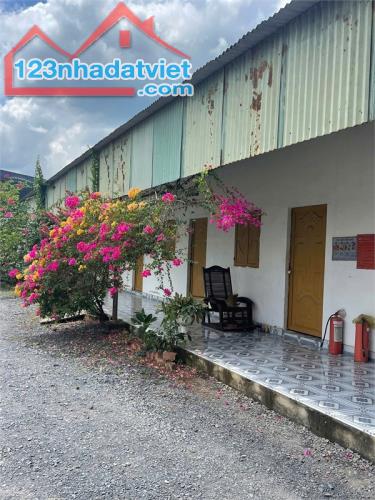 X074 nhà xưởng kiên cố, đang SX Gỗ, phù hợp đầu tư sản xuất hoặc cho thuê - 1