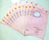 BUNG 12 LÔ GIÁ ĐẦU TƯ GIÁ F0 NGAY TRUNG TÂM HÀNH CHÍNH PHƯỜNG TÂN TRIỀU