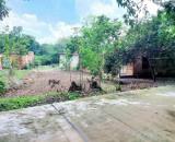 Gần 300m² có 100m² đất ở trong khu dân cư đông Đồng Phú bình phước chỉ 200 triệu