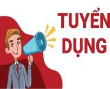 TUYỂN DỤNG NAM NHÂN VIÊN LÀM KHO- HOẶC CÔNG NHÂN XUẤT NHẬP HÀNG GỖ NHỰA