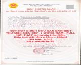 HOT HOT CHÍNH CHỦ CẦN BÁN BIỆT THỰ MINI SIÊU ĐẸP- HƯỚNG NAM - FULL NỘI THẤT tại huyện Hóc