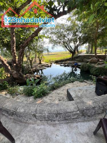 CHÍNH CHỦ CẦN BÁN LÔ ĐẤT CÓ VỊ TRÍ ĐẸP TẠI PHƯỜNG LẠI ĐỨC - HOÀI ĐỨC - TX.HOÀI NHƠN - - 3
