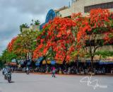 🍒 CHO THUÊ TÒA NHÀ MẶT PHỐ CẦU ĐẤT . VIEW NHÀ HÁT LỚN THÀNH PHỐ - VỊ TRÍ KẾT NỐI