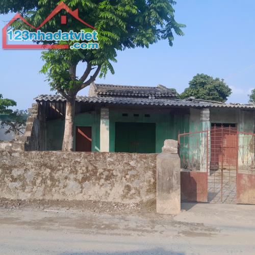 CƠ HỘI sở hữu lô đất 100m2 tại Phường Thái Thịnh - Hiến Thành,phừ hợp đầu tư, xây nhà