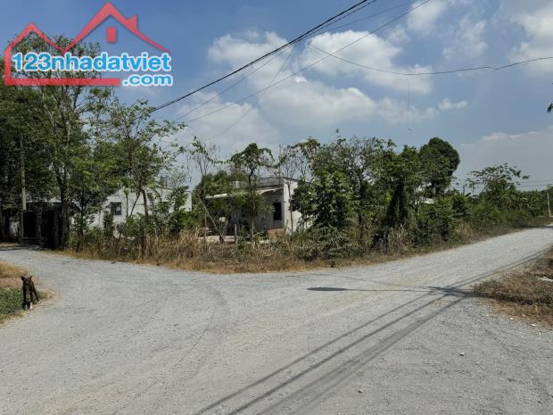 CHÍNH CHỦ CẦN BÁN ĐẤT SHR SANG TÊN NGAY FULL THỔ CƯ GIÁ NGON - 1
