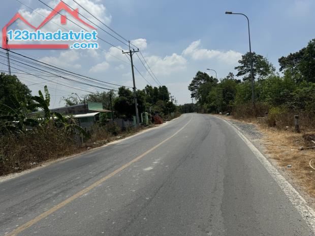 CHÍNH CHỦ CẦN BÁN ĐẤT SHR SANG TÊN NGAY FULL THỔ CƯ GIÁ NGON - 3
