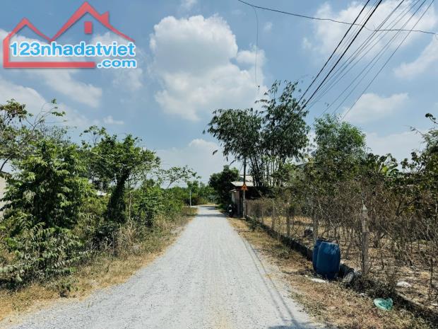 CHÍNH CHỦ CẦN BÁN ĐẤT SHR SANG TÊN NGAY FULL THỔ CƯ GIÁ NGON - 5