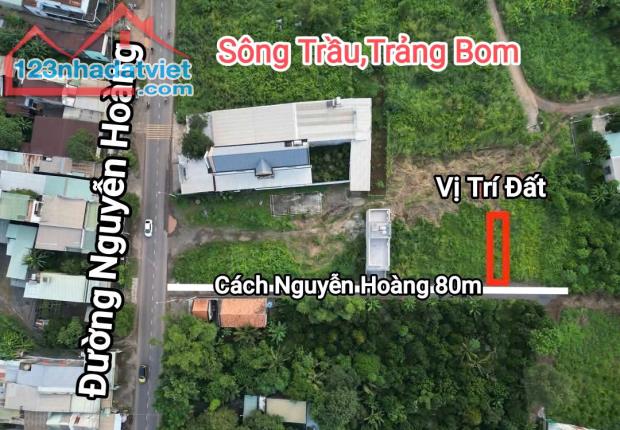 Đất Đẹp Giá Tốt – 1 Sẹc Nguyễn Hoàng, Gần Trung Tâm – Sổ Riêng, Xây Tự Do – 850 Triệu! - 1
