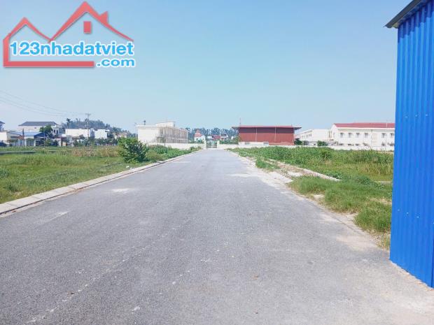 Bán đất đấu giá Xuân La - Thanh Sơn lô Dãy B - Kiến Thụy, Hải Phòng  - Diện tích : 174m2 - 5