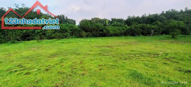 Bán 3500m2 đất thổ cư Long Đức gần SÂN BAY Long Thành chỉ 6,5 tỷ - 1