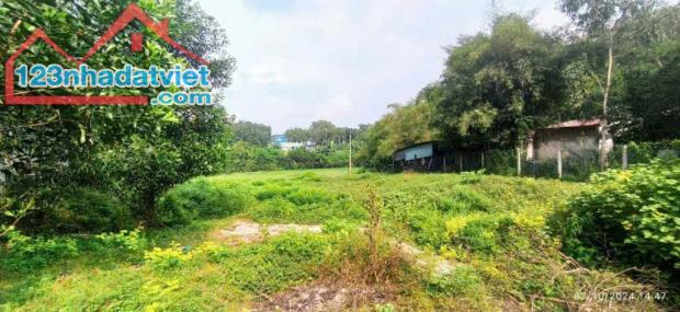 Bán 3500m2 đất thổ cư Long Đức gần SÂN BAY Long Thành chỉ 6,5 tỷ - 2