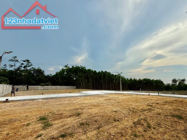 PHÂN LÔ KIỆT THIÊN THAI - PHƯƠNG AN TÂY GIÁ SỐC CHỈ 1 TỶ 1xx - 3