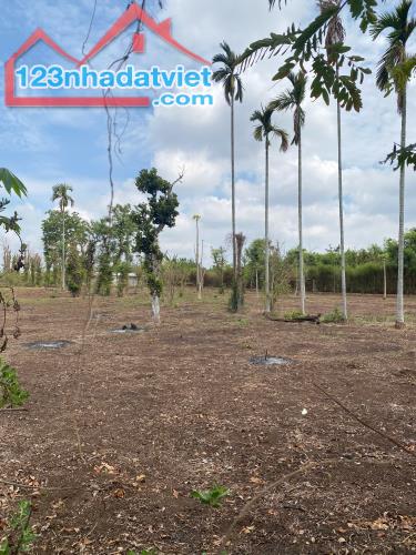 💥  Gần 1 Sào đất Mặt tiền bê tông Thôn Tân Hưng - Ea Kao - BMT. 1,2 Tỷ