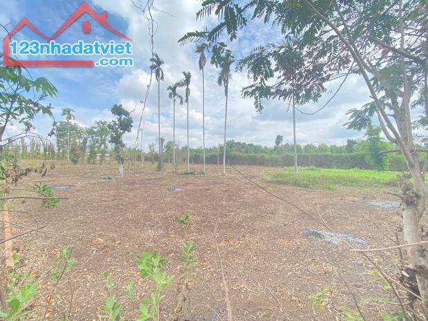 💥  Gần 1 Sào đất Mặt tiền bê tông Thôn Tân Hưng - Ea Kao - BMT. 1,2 Tỷ - 2