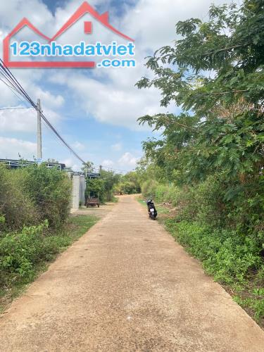 💥  Gần 1 Sào đất Mặt tiền bê tông Thôn Tân Hưng - Ea Kao - BMT. 1,2 Tỷ - 3