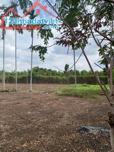 💥  Gần 1 Sào đất Mặt tiền bê tông Thôn Tân Hưng - Ea Kao - BMT. 1,2 Tỷ - 5