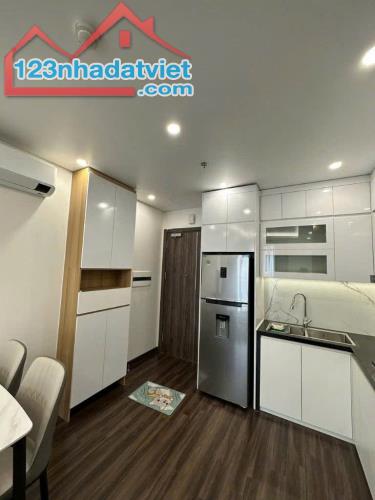 Cho thuê căn hộ 2 ngủ full nội thất Hoàng Huy Grand , Sở Dầu , Hồng Bàng