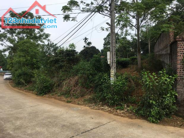ĐẤT ĐẸP - GIÁ ĐẦU TƯ Chính chủ cần bán nhanh lô đất vị trí đẹp tại huyện Ba Vì, Tp Hà Nội - 2
