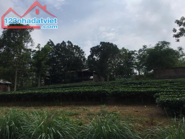 ĐẤT ĐẸP - GIÁ ĐẦU TƯ Chính chủ cần bán nhanh lô đất vị trí đẹp tại huyện Ba Vì, Tp Hà Nội - 3