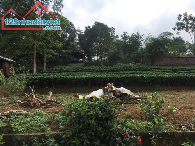 ĐẤT ĐẸP - GIÁ ĐẦU TƯ Chính chủ cần bán nhanh lô đất vị trí đẹp tại huyện Ba Vì, Tp Hà Nội - 4