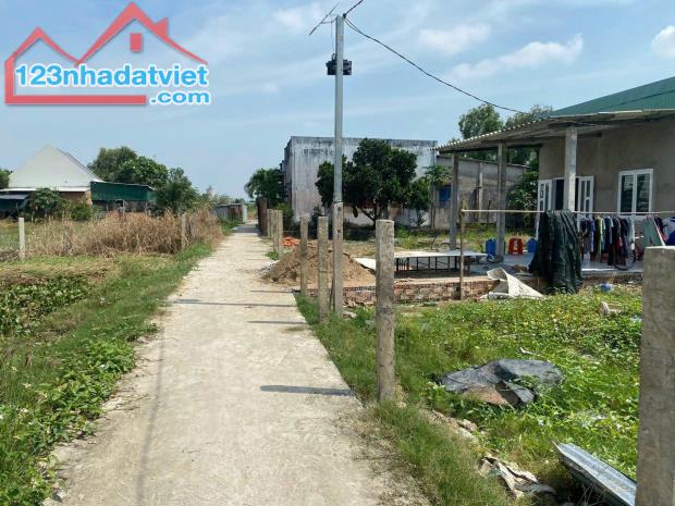 Chính Chủ Cần Bán Lô Đất Vị Trí Đẹp Tại Đường ĐT 832, Ấp 7, Xã Nhựt Chánh, Bến Lức, Long - 2