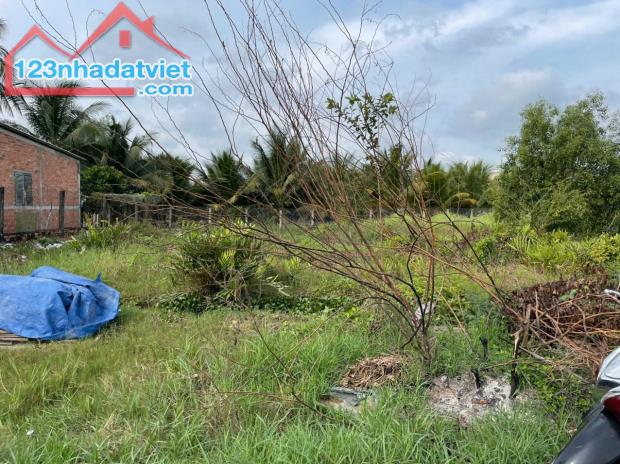Chính Chủ Cần Bán Lô Đất Vị Trí Đẹp Tại Đường ĐT 832, Ấp 7, Xã Nhựt Chánh, Bến Lức, Long - 3