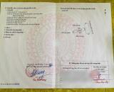 ❌❌❌Lô đất đấu giá tiểu trà Đón Vành Đai 2 khởi công