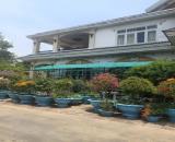 Bán nhà mặt tiền Nguyễn Thái Học, 3250m², có biệt thự + xưởng 1600m, giá 75 tỷ
